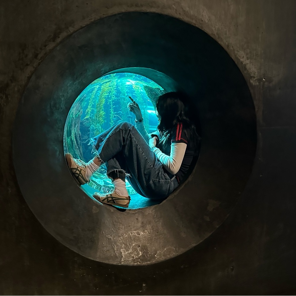 Meet your Posher, Samantha